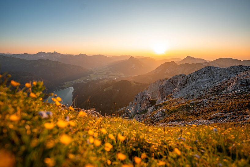 Flowery view of the Tannheim mountains at sunset by Leo Schindzielorz