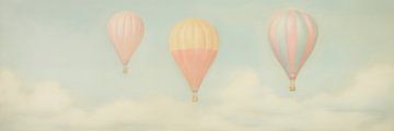 Hot-air balloons by Whale & Sons