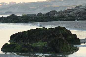 Alleen red ik me wel!