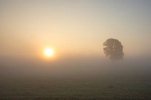 Sonnenaufgang in einer nebligen Landschaft bei IJlst in Friesland. Wout Kok One2expose Fotografie.