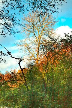 Satte Farben von Koos Hageraats