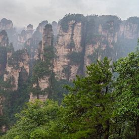 Zhangjiajie national park by Paul Oosterlaak