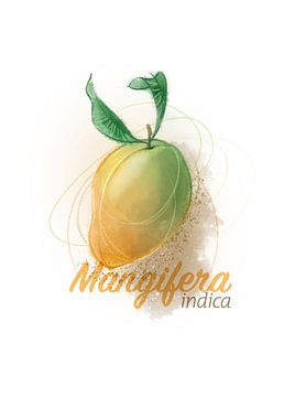 Mangifera Indica von Ingrid Joustra