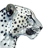 Leopard on focus