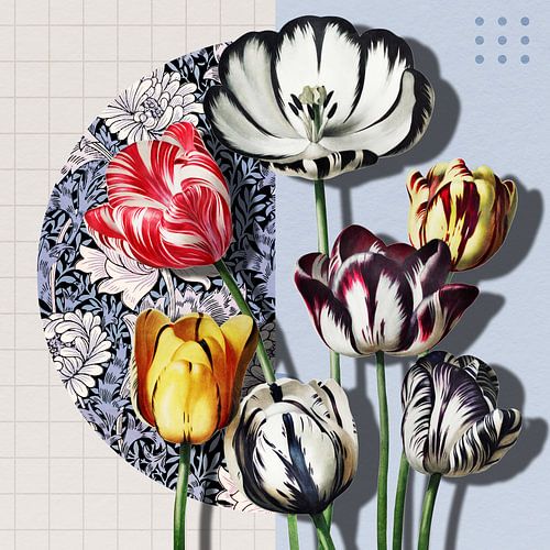 3D Collage met Tulpen