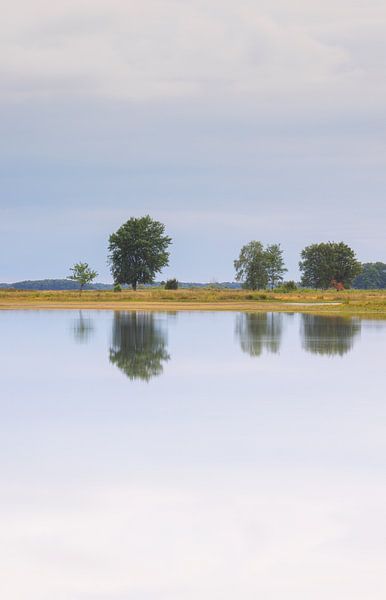 Dwingelderveld - Drenthe (Netherlands) by Marcel Kerdijk