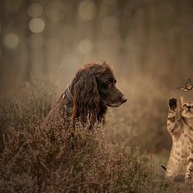 Kat en hond van Nanda Jansen