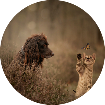 Kat en hond van Nanda Jansen