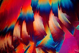 Paracetamol von André Wieringa