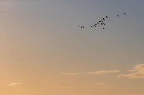 Beautiful colours and birds in the sky.