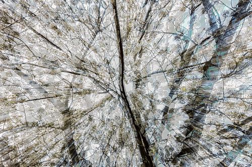 Abstracte bloesem, deel 2.