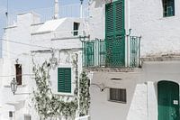 Groene Italiaanse balkons