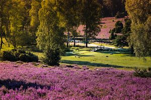 lune heathland sur Kurt Krause