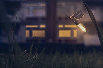 Edison's firefly by Elianne van Turennout