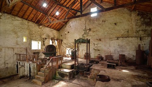 Verlaten Antieke Olijfoliepers