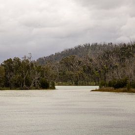 Lake Cronulla by ellen