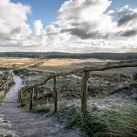 Der Weg zu schönen Dingen von Bernadette Alkemade-de Groot