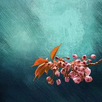 BOTANICAL CHERRY BLOOM