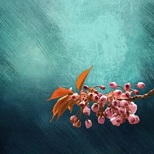 BOTANICAL CHERRY BLOOM by Pia Schneider