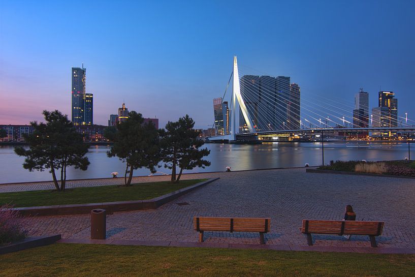 View on the Erasmus Bridge Rotterdam by Charlene van Koesveld