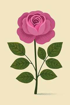 English Garden Rose, botanical illustration in minimalist style by Eduard Broekhuijsen