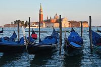 Gondolas of Venice at sunset