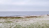 Florida strand stemmig weer 16x9