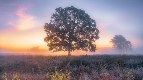 " Arbre de vie " sur Eric Hendriks