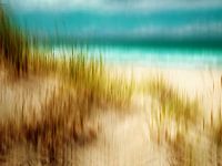 Dans van het duingras