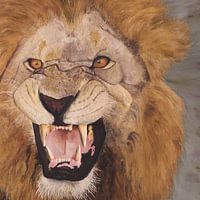 Krüger-Nationalpark