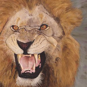 Lion ( Lion ) sur Russell Hinckley