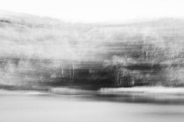 Lost in the Woods van Jules Captures - Photography by Julia Vermeulen