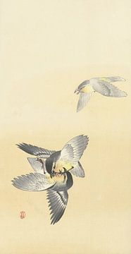 Ohara Koson - Twee vechtende vogels (bewerkt) van Peter Balan