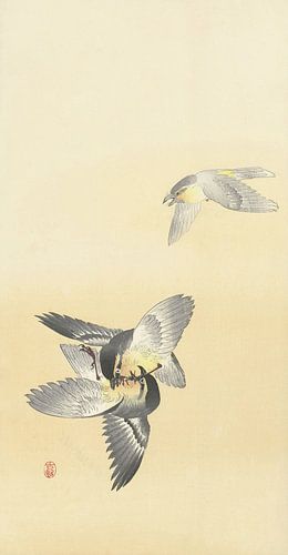 Ohara Koson - Zwei kämpfende Vögel (bearbeitet)