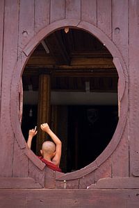 Junger Mönch im ovalen Fenster von Carolien van den Brink
