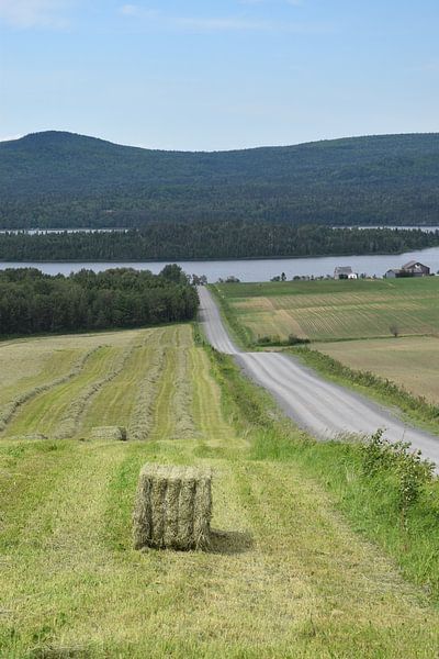 Land during harvest by Claude Laprise