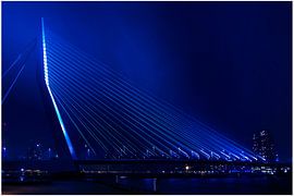 Erasmus brücke Rotterdam