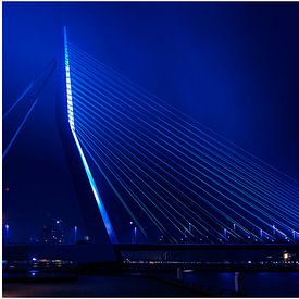 Erasmus bridge Rotterdam by Henk Langerak
