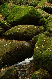 Gebirgsbach Schwarzwald 1.7 von Ingo Laue