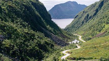 The Road through the Valley 16-9