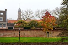 Stadsmuur IJsselstein sur Theo ter Horst
