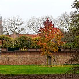 Stadsmuur IJsselstein van Theo ter Horst