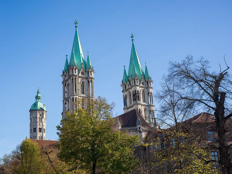 Naumburg - Dom van Naumburg van t.ART