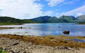 Risøysundet