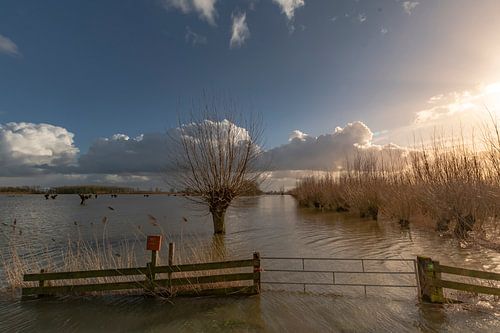La marée haute sur le fleuve