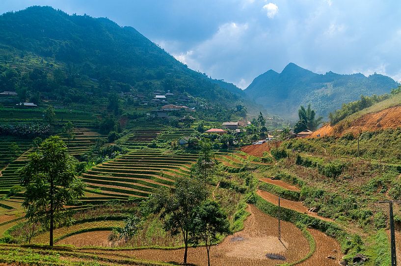 Vietnam: Cán Cấu markt (Giang Ta Chai) by Maarten Verhees