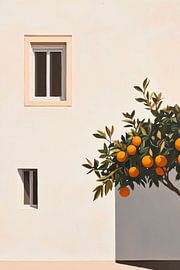 Façade d'oranger sur Poster Art Shop