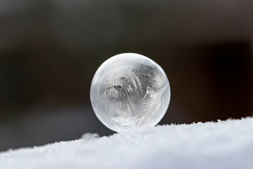 Bulle congelée par Tanja van Beuningen
