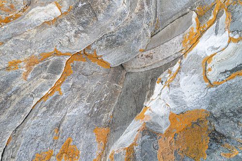 Korstmos op een berg.