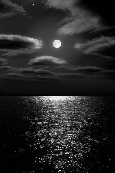 Nachtelijke maan op zee van Corinne Welp